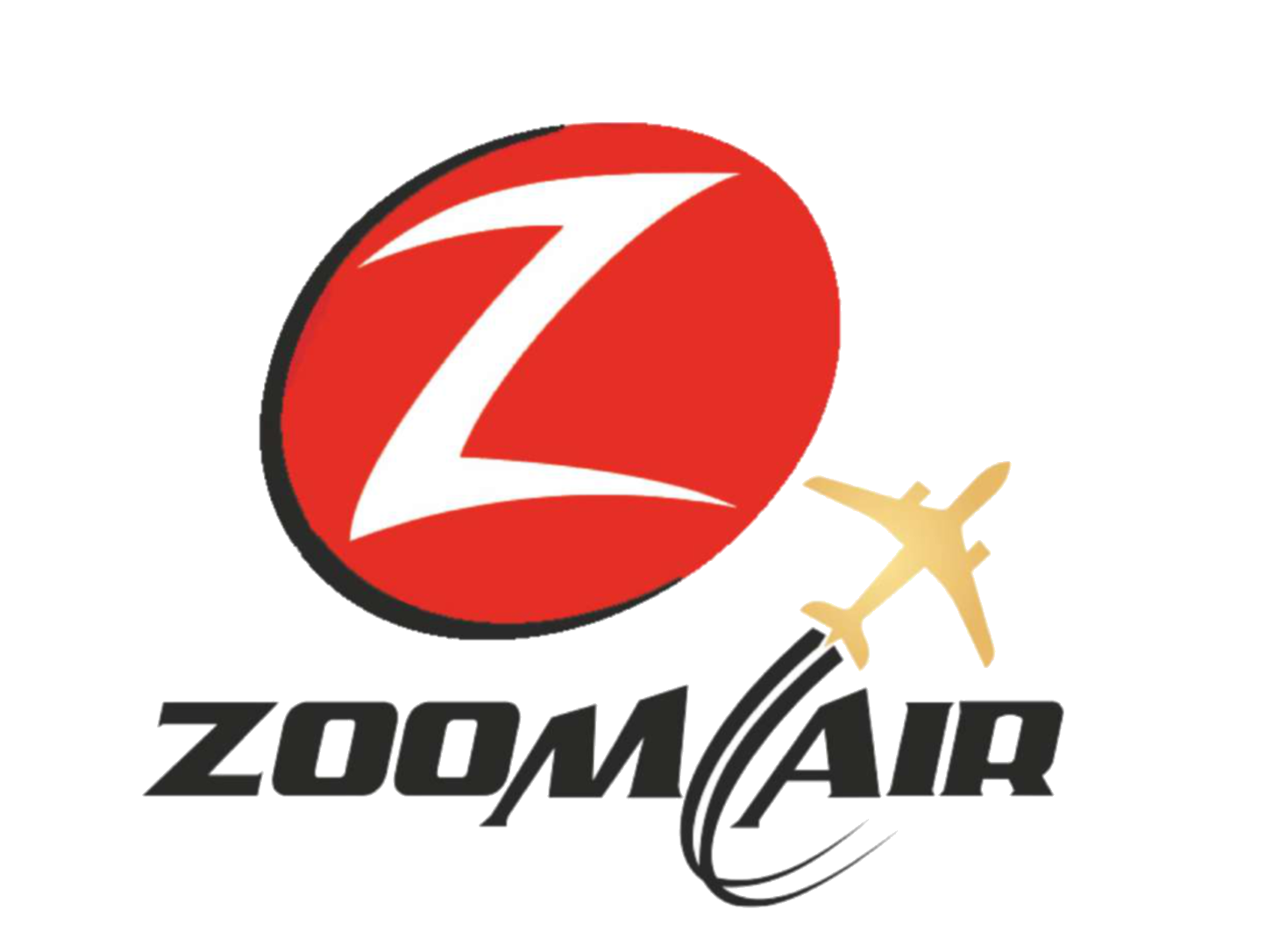 Zoom Air Logo